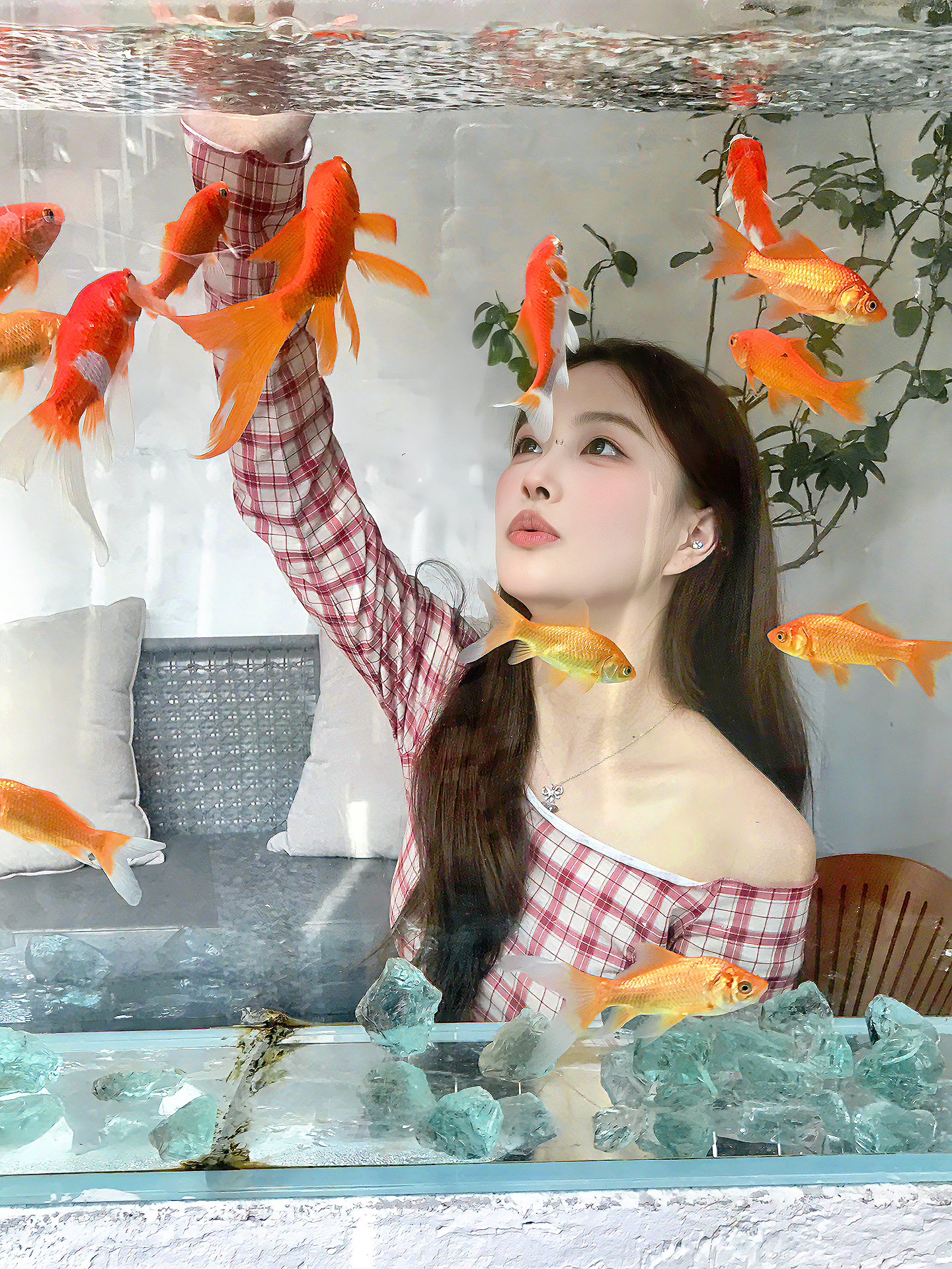 🫧闯入金鱼梦境𓆡𓆝𓆟𓆜🫧祝你🐟快  𓆞 ​​​