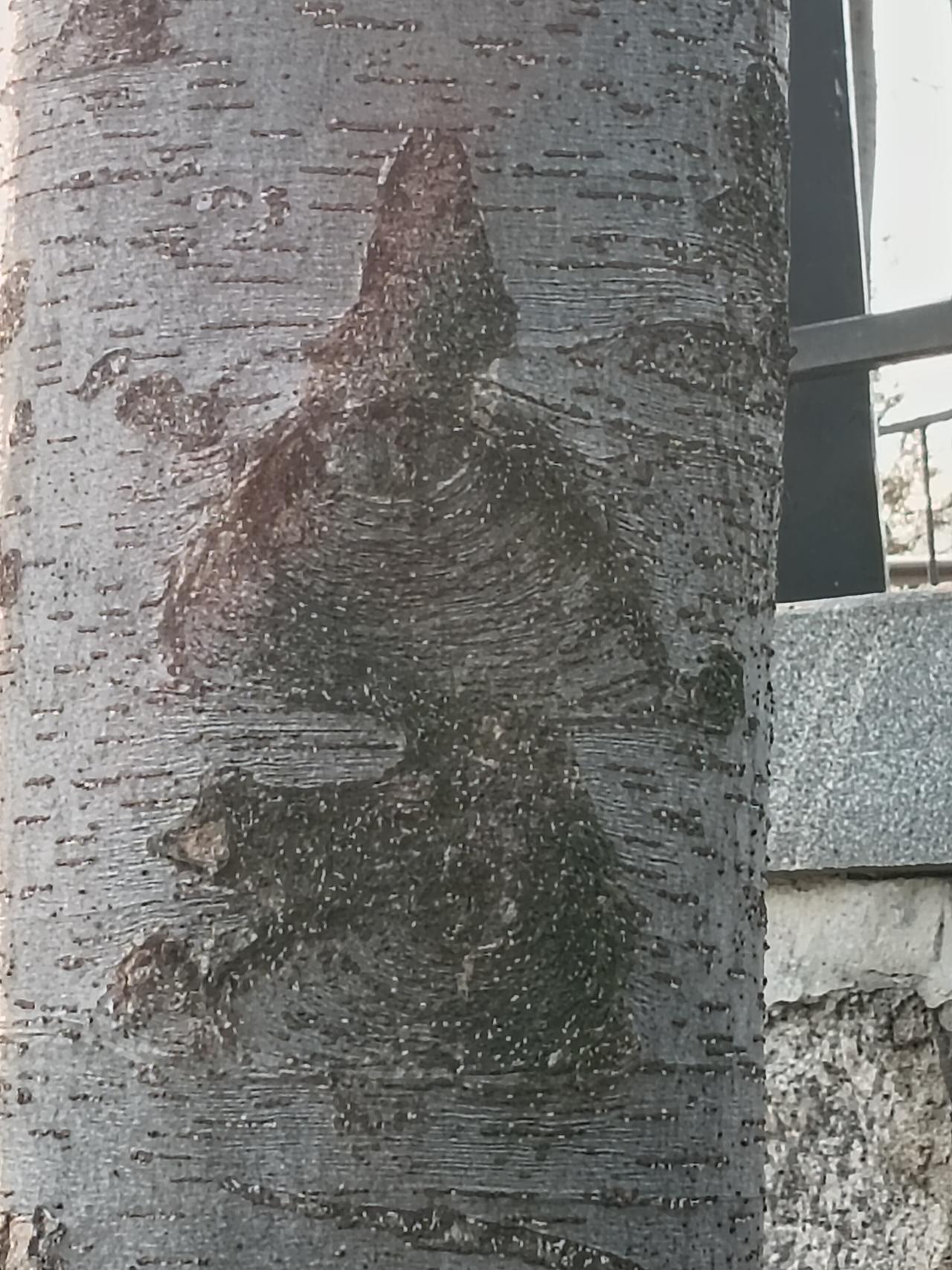 这是穿越到秦朝了吗？