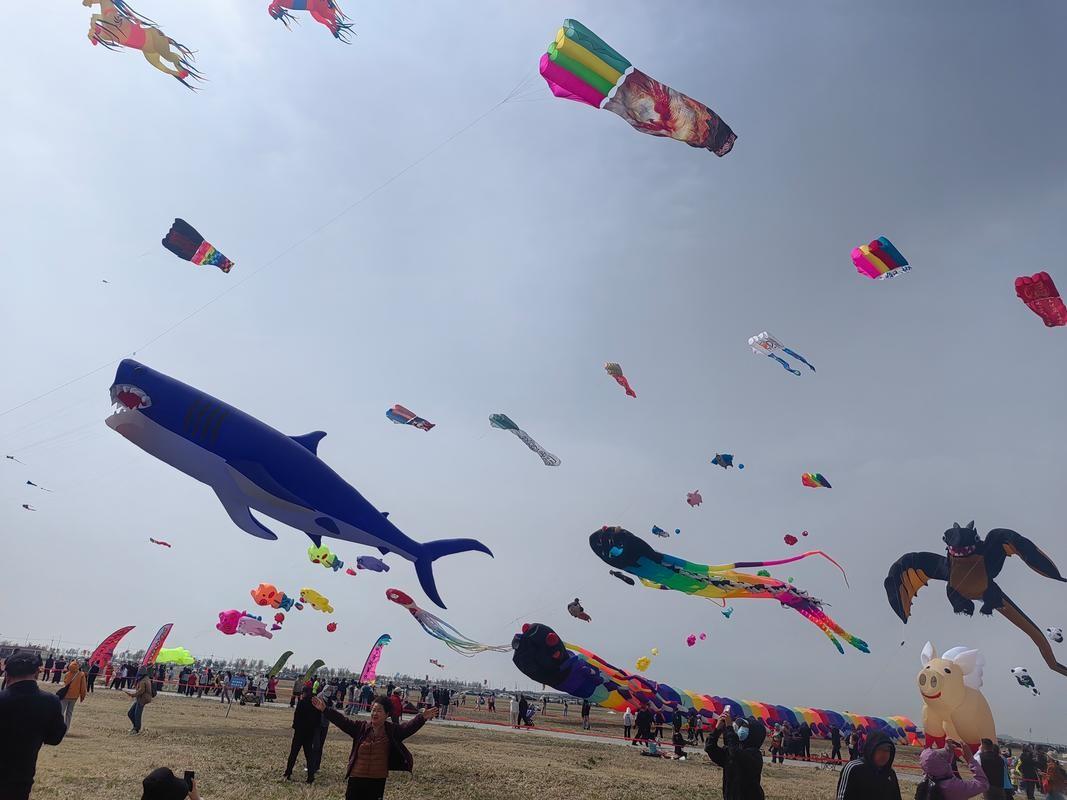 大开眼界呀！山东潍坊风筝节，万物皆可飞啊
你有没有想过，天上怎么可能飞着高铁列车