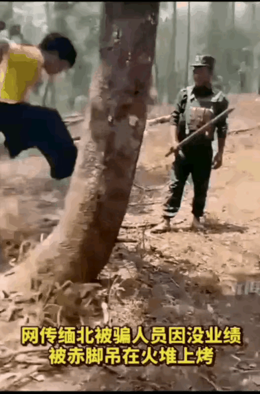 缅北十大酷刑[衰] ​​​