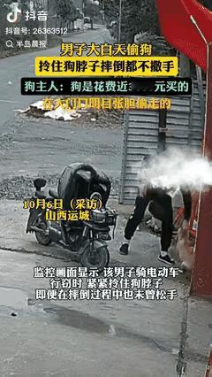“胆大的没边了！”山西运城一小伙花近3000块买了只小狗，小狗在仓库门口独自玩耍
