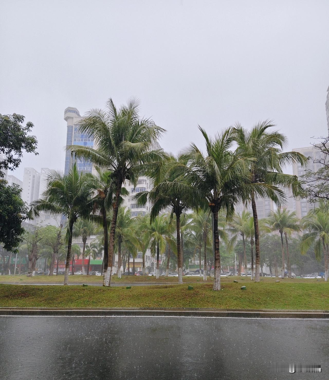 她曾经是那么优秀的一个主持人啊，大青衣那一类的~可惜啊，全职妈妈真的是高风险的工