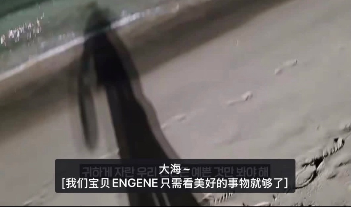 ENHYPEN成员对待粉丝的极致反差 