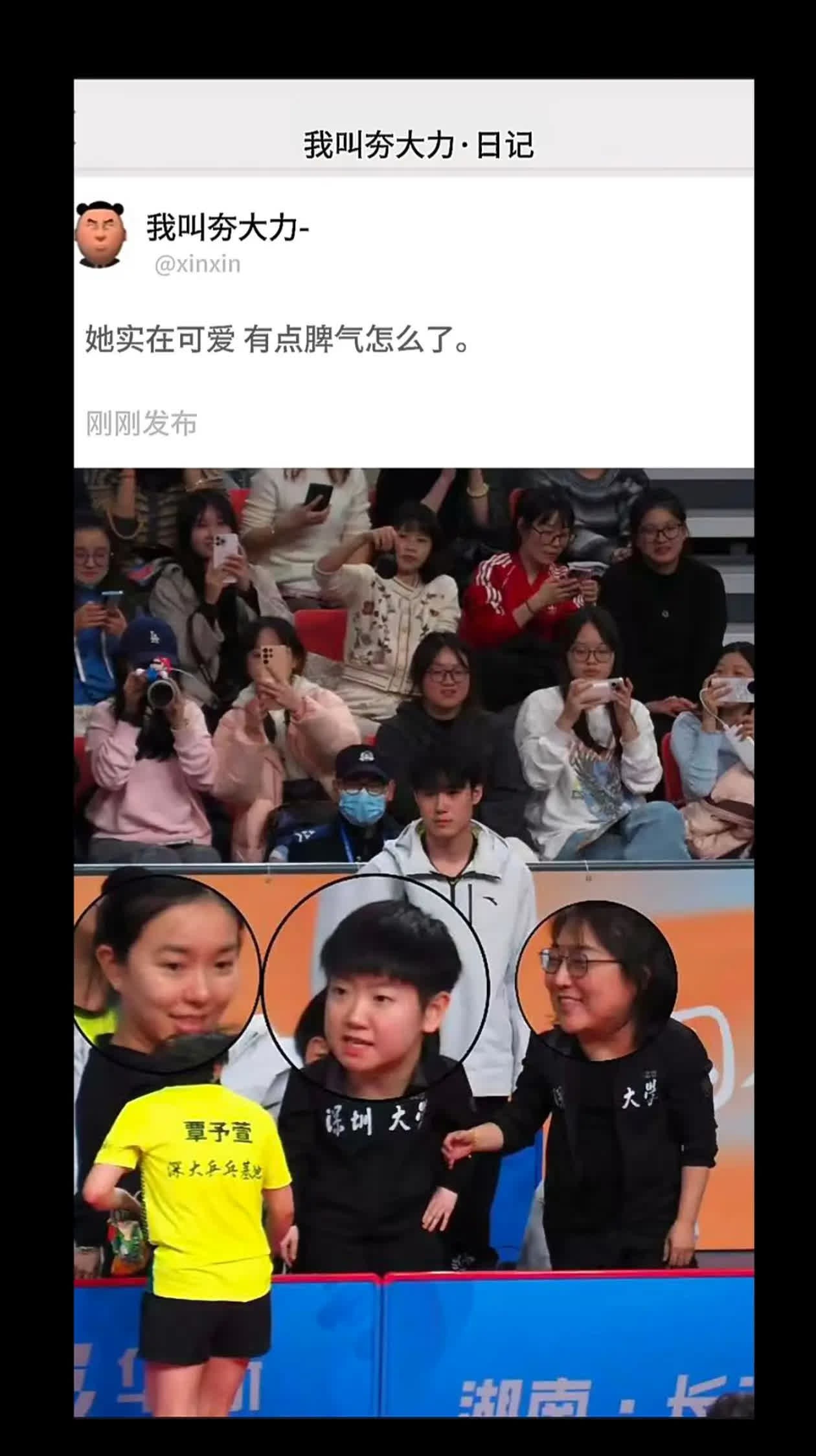 给幼儿园园长气的眉毛都竖起来了 