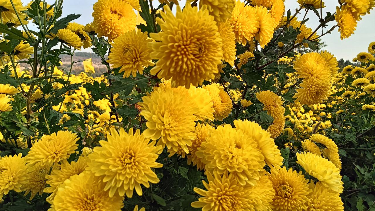 周末的愉快被这孩子弄的哭笑不得😂
早晨吃饭聊天聊着聊到喜事上礼这个问题，因为现