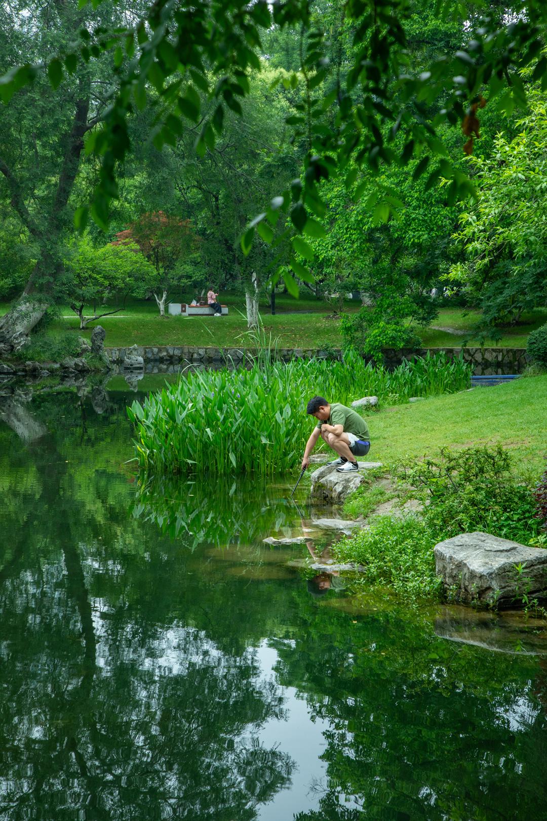 合肥人的夏日后花园
 老树成荫、湖水生凉，遛弯泛舟，本地人常备的免费避暑乐园。