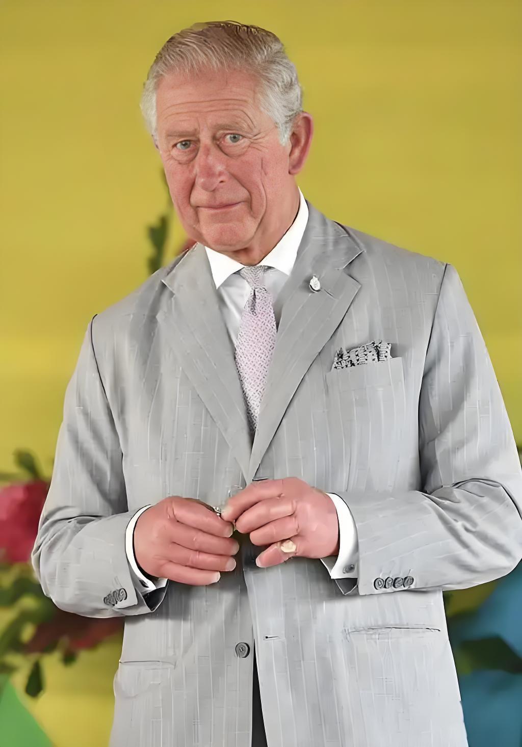 在华盛顿的欢迎晚宴上，英王查尔斯贴脸开大！他说，如果没有美国，欧洲现在可能要说德