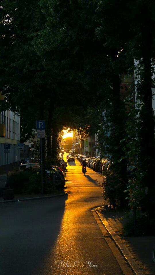 优质上市公司在上涨时也许跑过弹性公司，但下跌时候横向对比平均跌幅也没那...