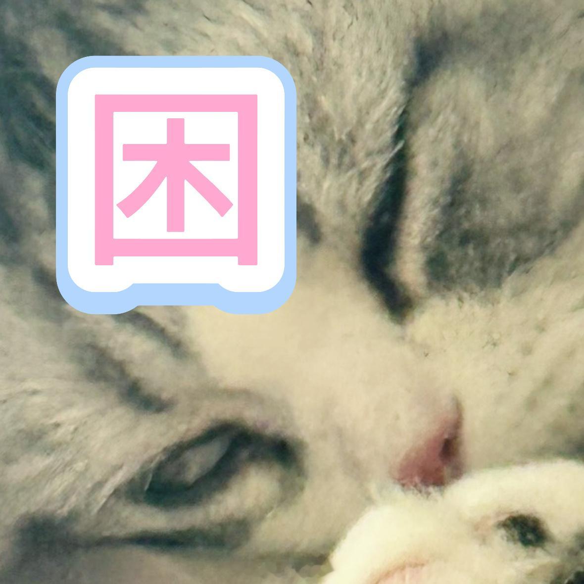 🥱 