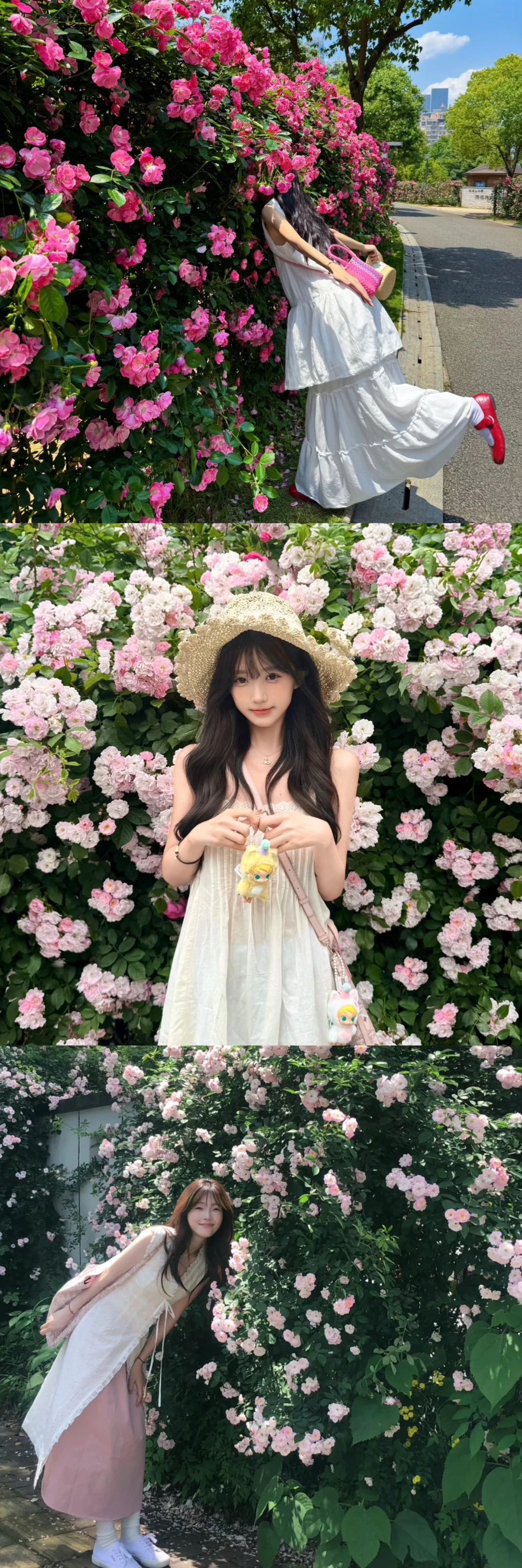 存一些超全蔷薇花花墙拍照📷姿势！