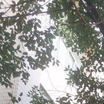 每日一善 阳光信用 努力去做一个温暖的人,用真心对世界微笑,用眼泪提醒自己要做的