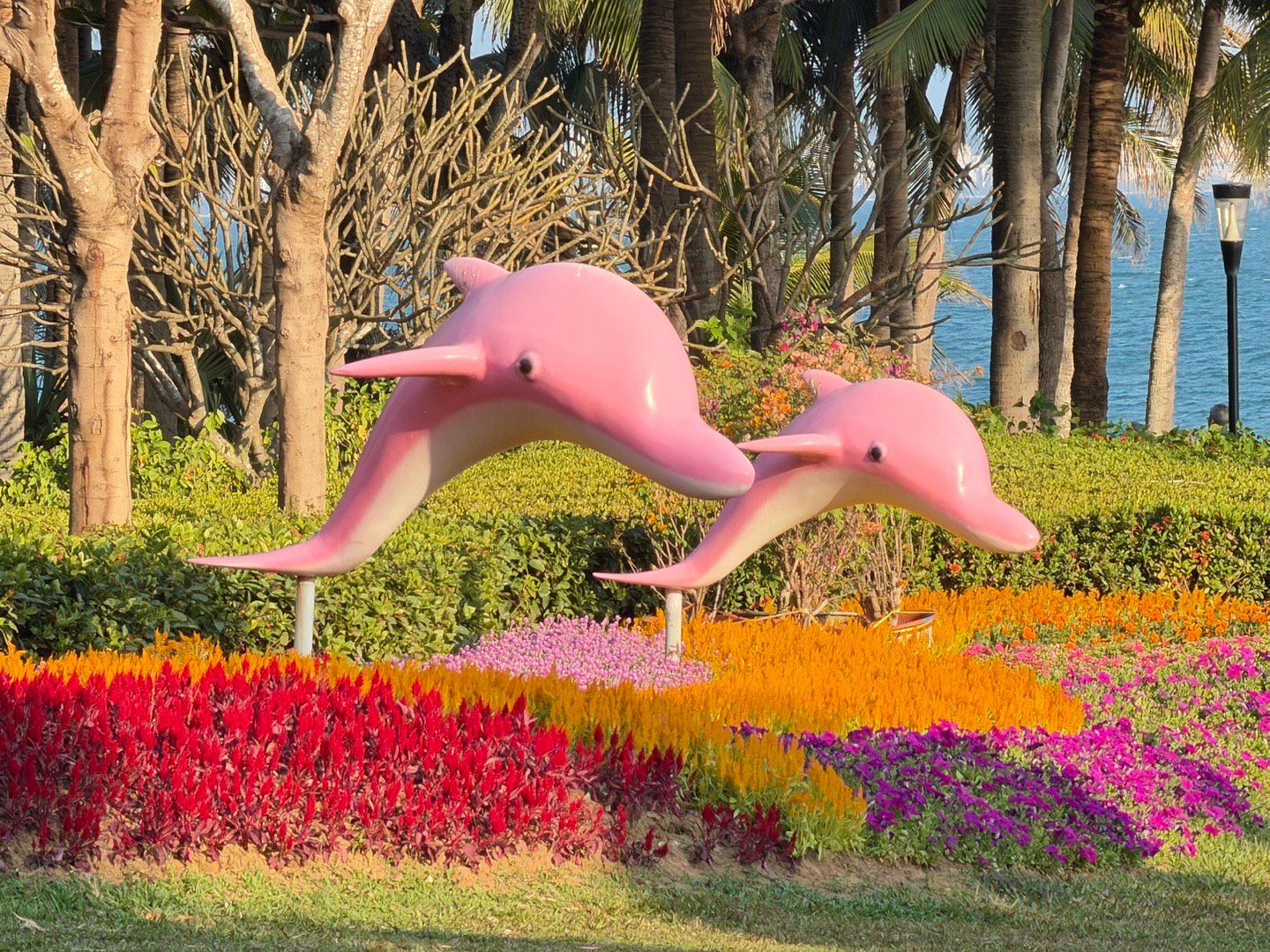 路过这个让人想起曾经一个比较变态的梗：海豚都比你粉🐬 