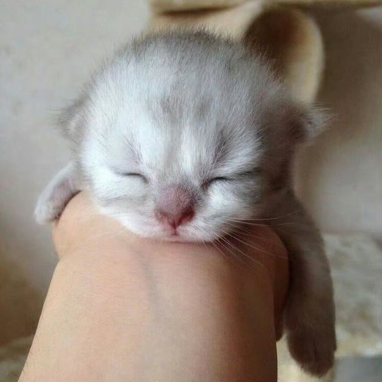 恩搜咪睡觉💤宋银硕