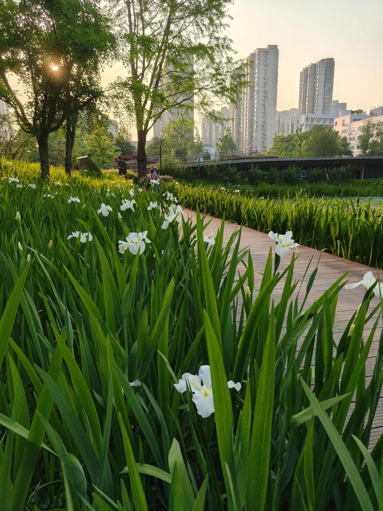 我认为值得
明明知道热门景点人很多，但还是去凑热闹，不是不怕人挤人，最主要是去感