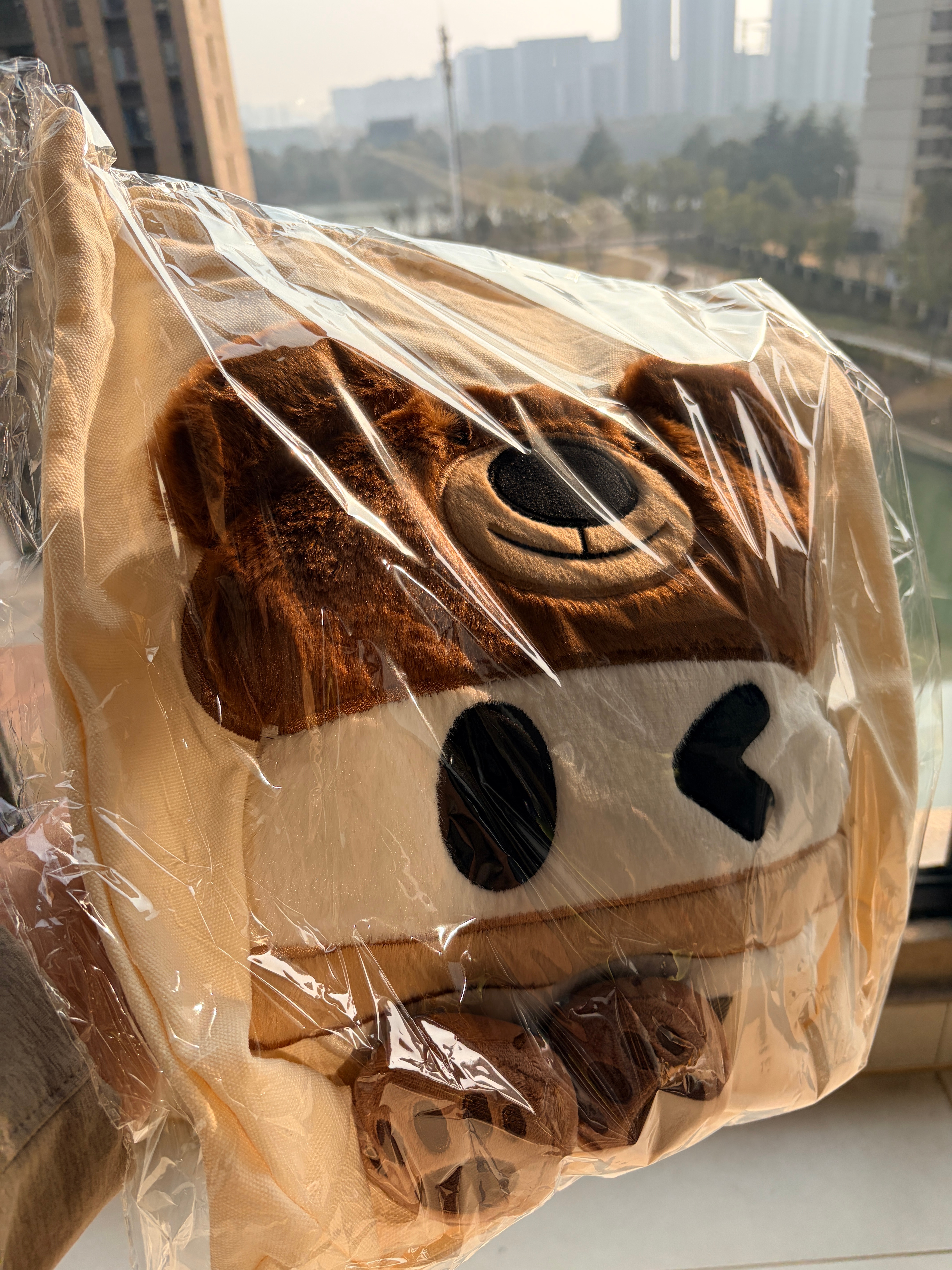 收到两个理想同学帆布包，真不错，一个留给男哥，另一个给大家抽了咋样？点赞就行，明