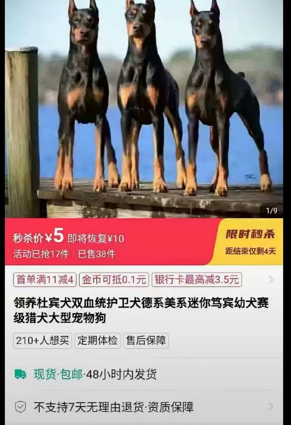 网购需谨慎，售出不退不换！ ​​​