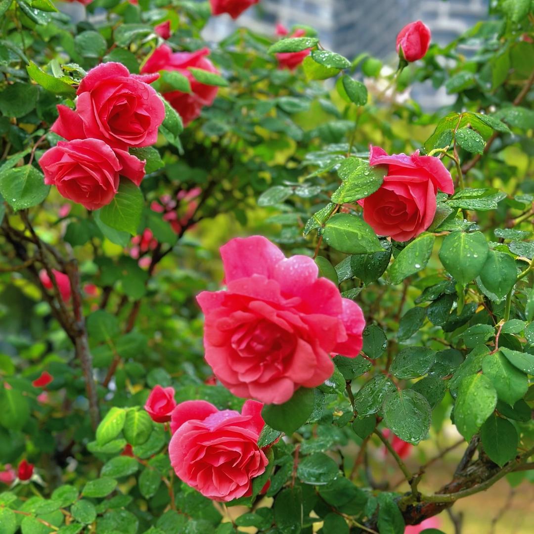 有些故事，不必等到结局，因为相遇时的惊鸿一瞥，已是永恒，想和你一起看四季流转，赏