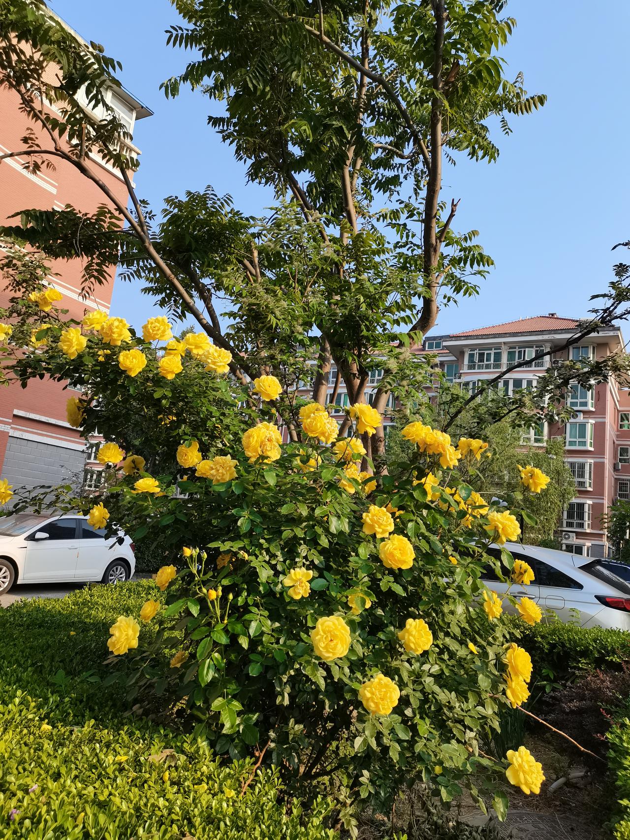 当你走出屋檐的庇护，可能会遭受风雨、遭受恩怨是非、还误入险巷，要自己判断自己承担