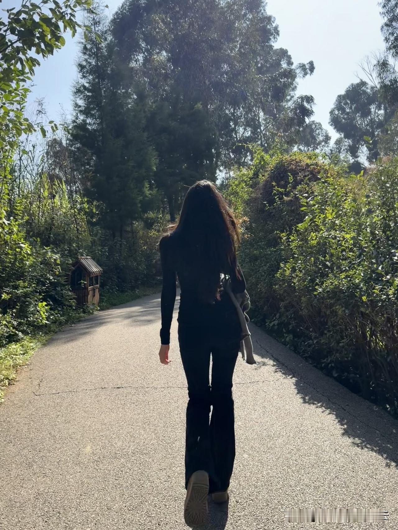 阳光明媚适合出门