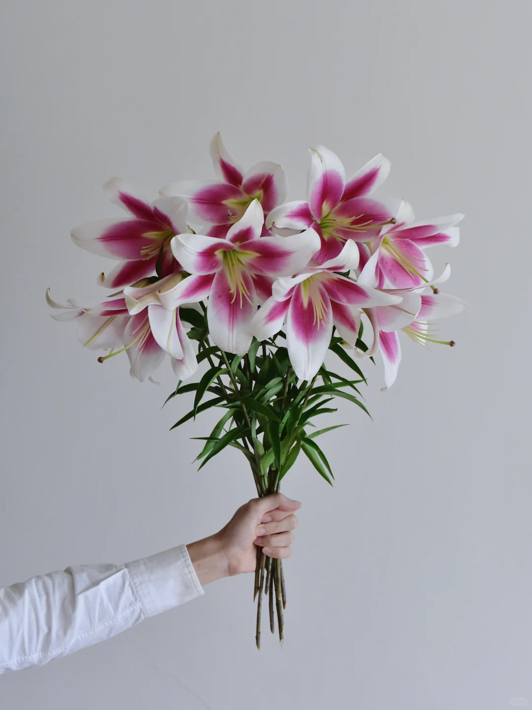 三木谷百合庄园·美素