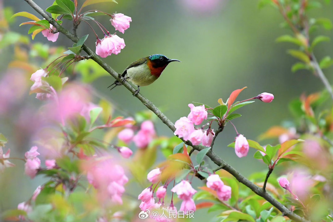 阳光信用  阳光信用 互动打卡 人生就像海洋，时而平静，时而波涛汹涌。保持内心的
