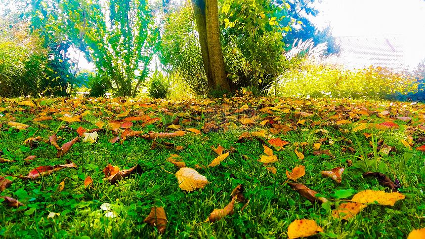 春日生活打卡季春天好呀，今天武威天气怎么样？有没有出门晒晒太阳感受一下春光？