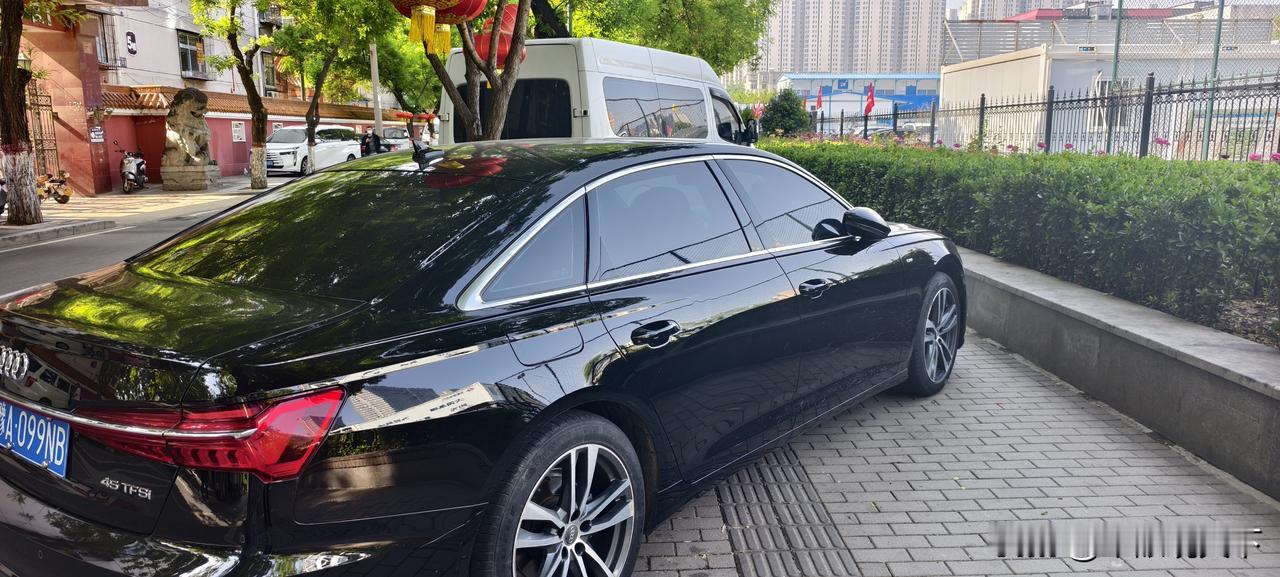 当下月季花盛开。郑州月季公园花团锦簇，人流如织。月季公园附近的中原区西站东街，大