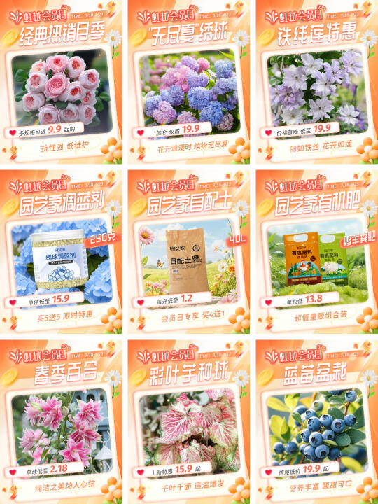 这个320虹越会员日必入单品有哪些❗