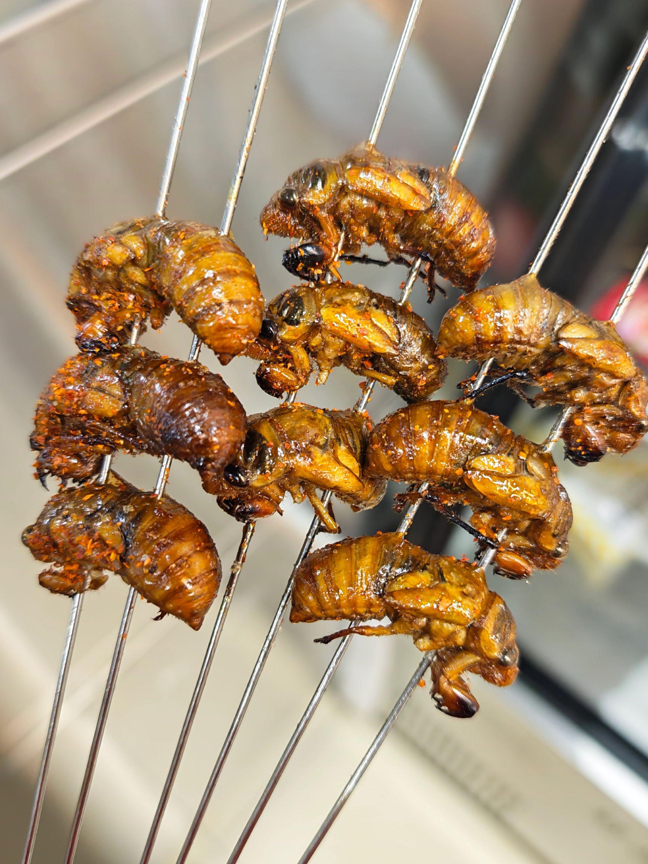 烤知了猴。烤知了猴金黄酥脆，咬一口满是蛋白质的鲜香，撒上孜然辣椒面，越...