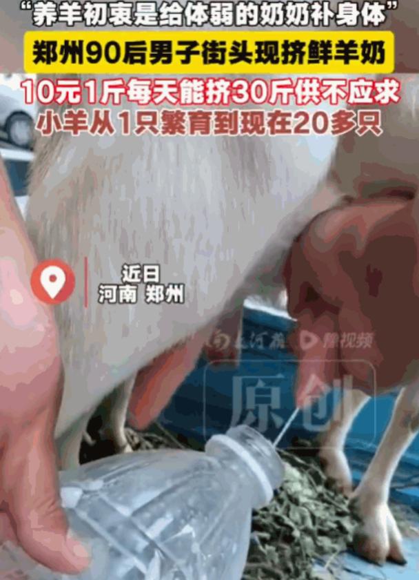 太大胆了！河南，一男子因奶奶患有营养不良性贫血，便买来一只羊，想用新鲜羊奶为老人