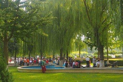 石家庄西青公园，你们去过吗，总觉得公园是 “老年人去的地方”呢，周末要么家里，要