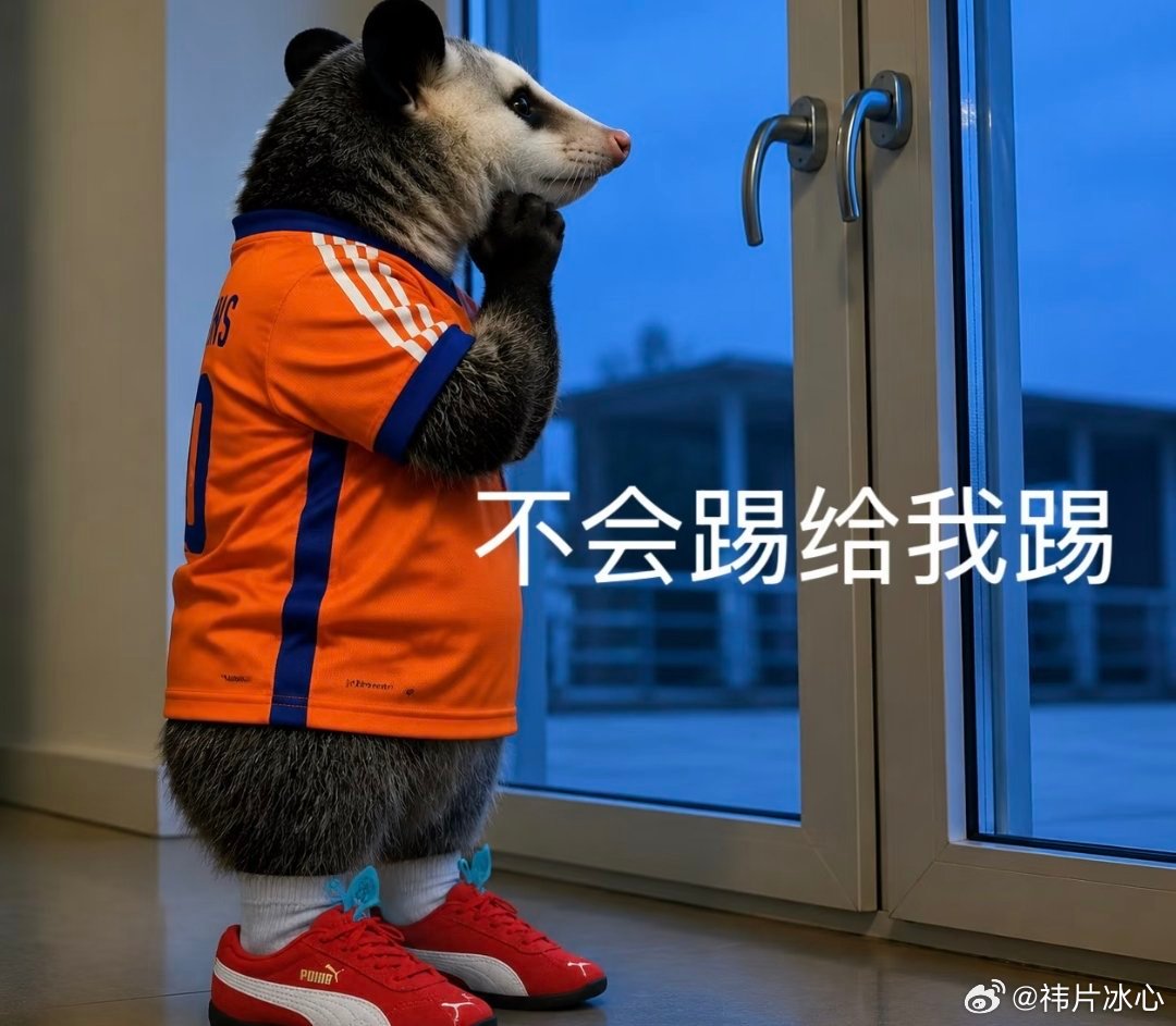 追世界杯的我belike本来安安静静看比赛，随着场上局势不断变化，表情跟着表情包
