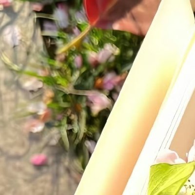 阳光信用 🌿阳光信用 🌿每日一善 善良既是历史中稀有的珍珠，善良的人便几乎优