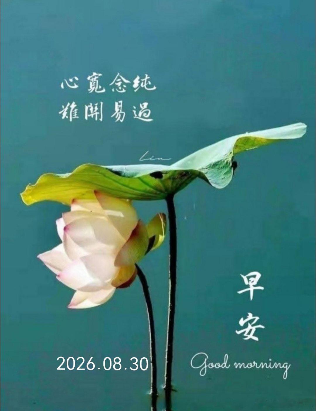 周日早安，又是全新的一天，慢慢来一切都会变好的[太阳]  ​​​