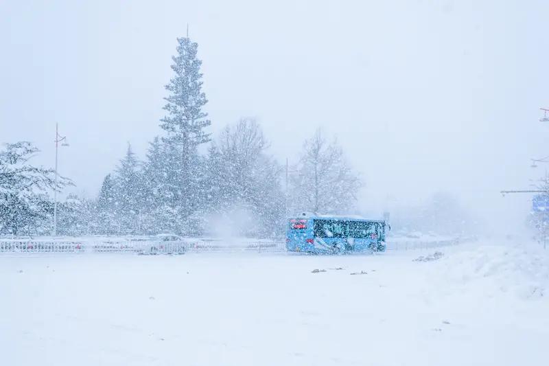 新疆暴雪疯了！破11月纪录，积雪埋车轮、景区全封

家人们，新疆狂风暴雪杀疯了！