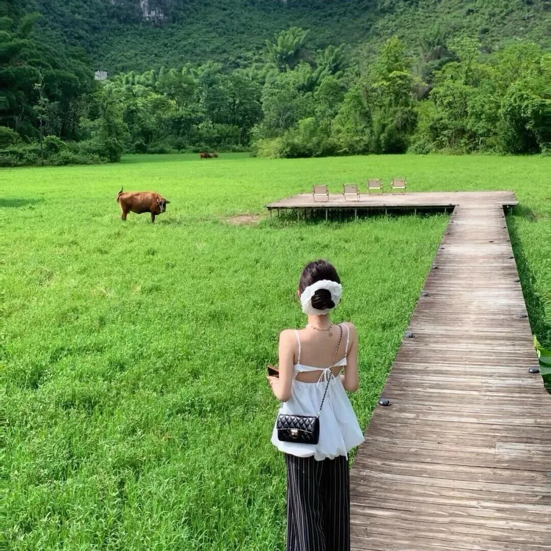 不联系也是一种爱 知其不可奈何而安之若命 ​​​
