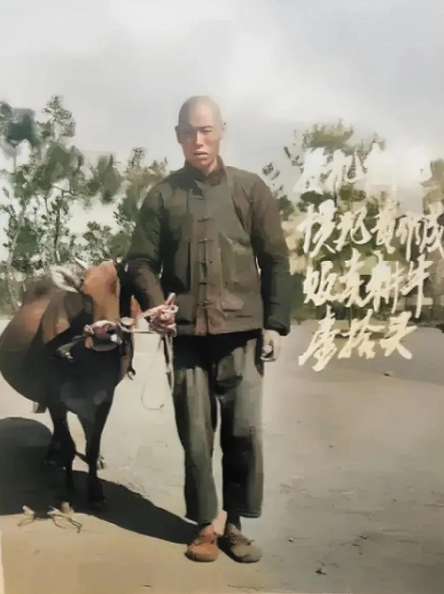 上世纪60年代的一天，在南方某地举行的一场公审大会上，出现了让人意想不到的一幕，