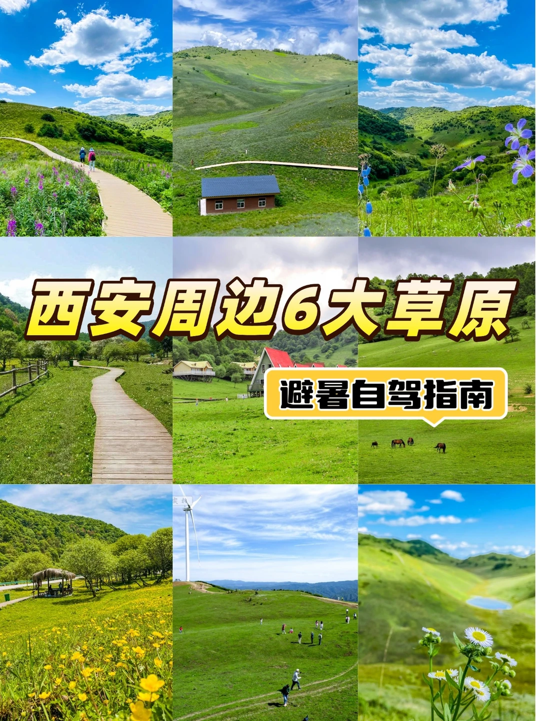 最近1.5h❗️西安周边6个均温23℃超绝草原
