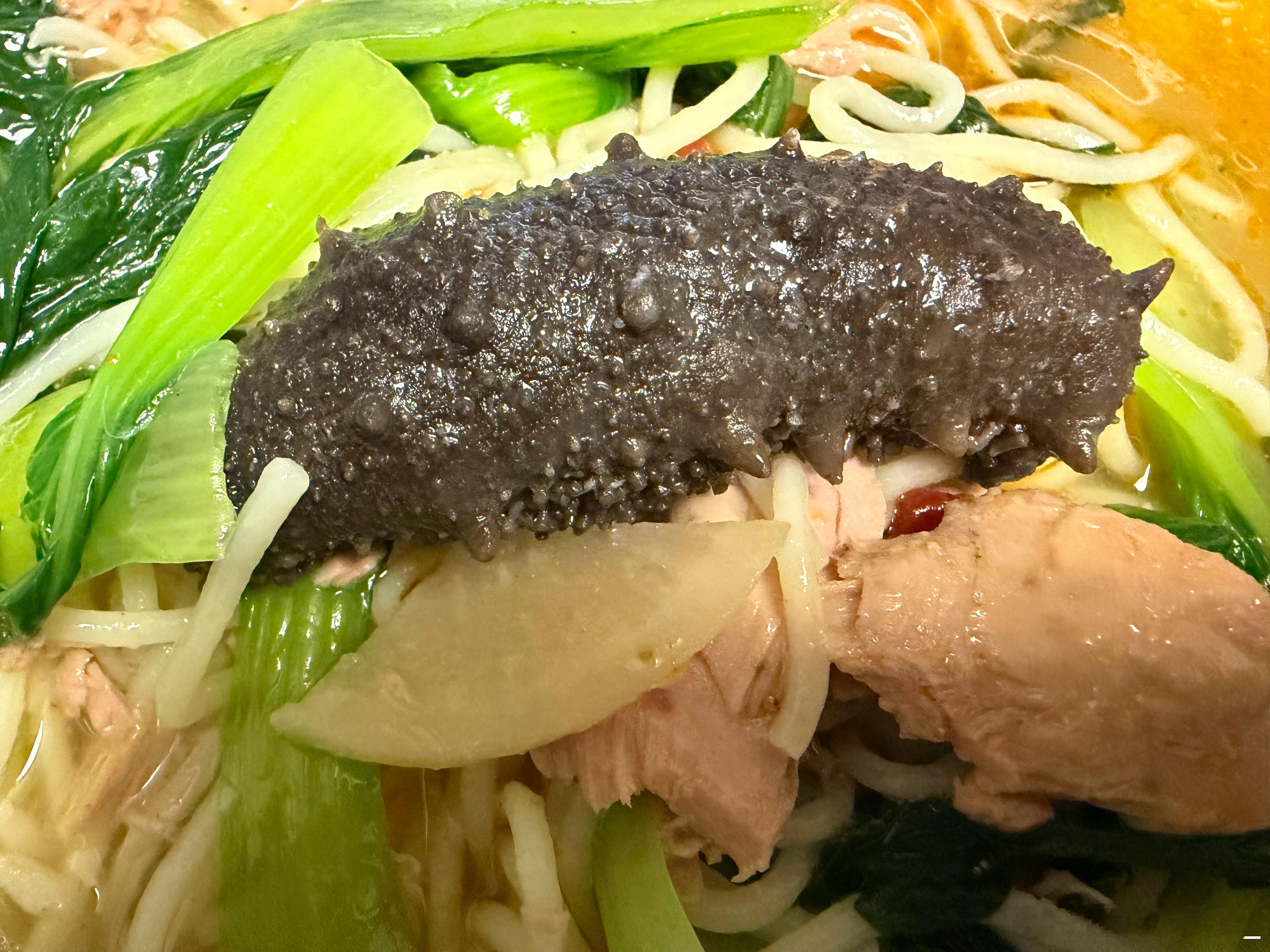 饿了，吃个海参 金枪鱼面~ 