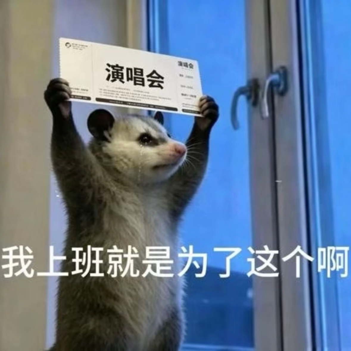 没有线下的日子真不知道这班上的还有什么意义💔 