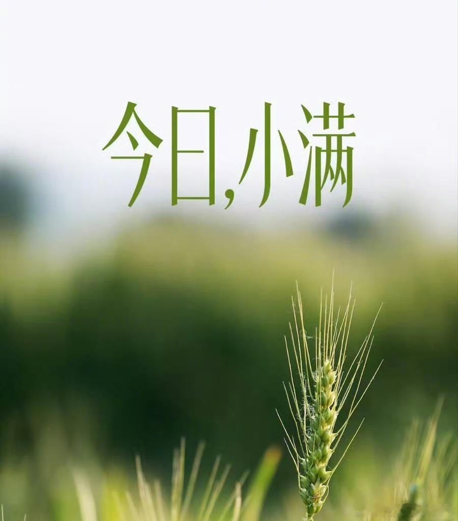 今日，小满人生最好的状态是小满未满。“小满不满，干断田坎”。古人认为小满这天“宜