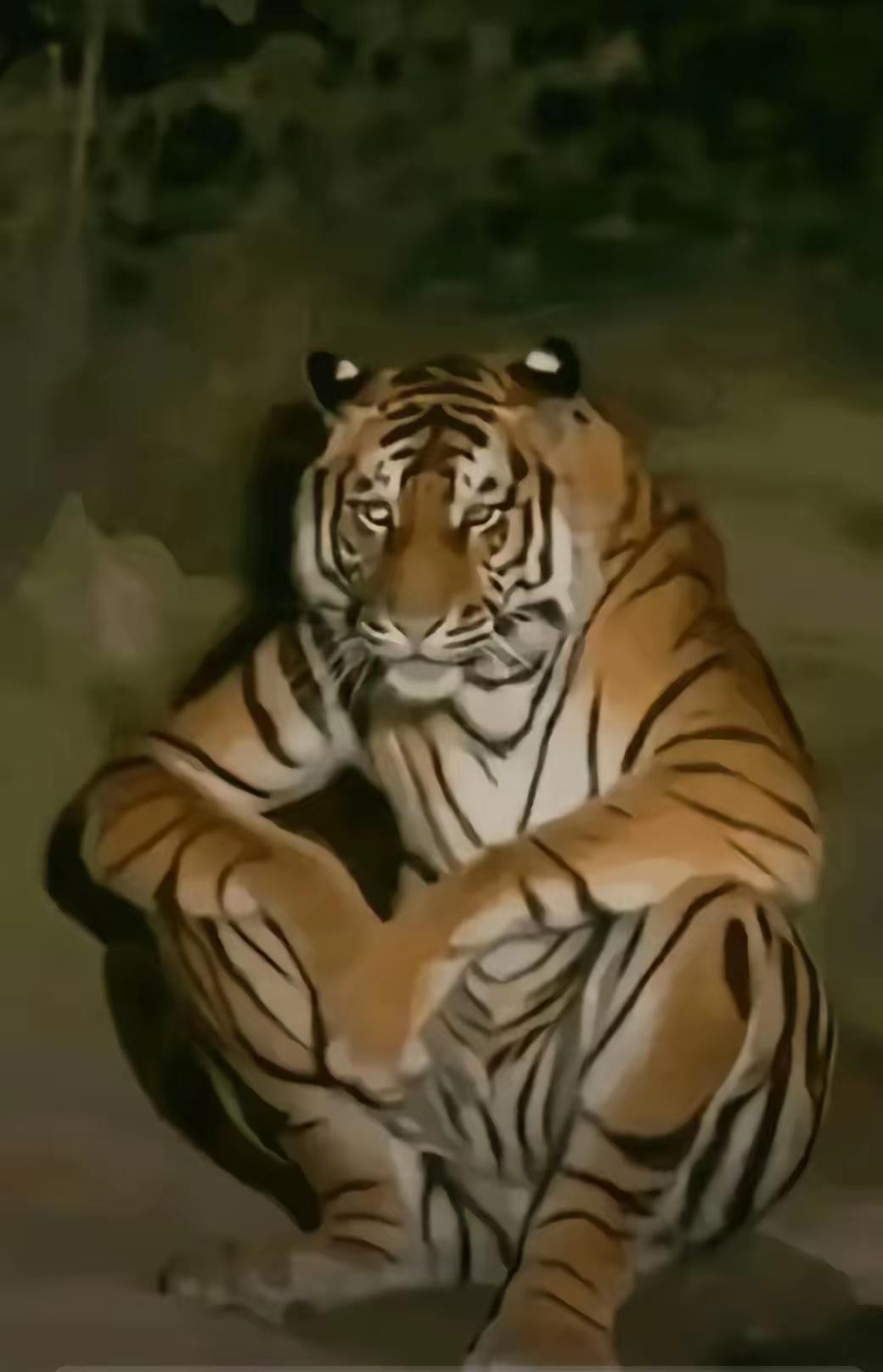 太有才了，谁做的？赞，捧，转！形容普京也行，形容特朗普也行，形容马克龙也行，形容