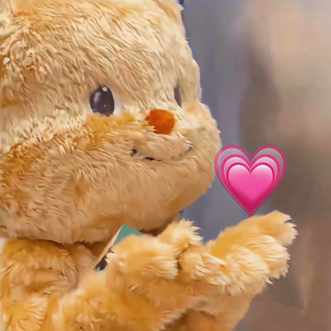 黄油小熊  头像#无水印头像# ​​​