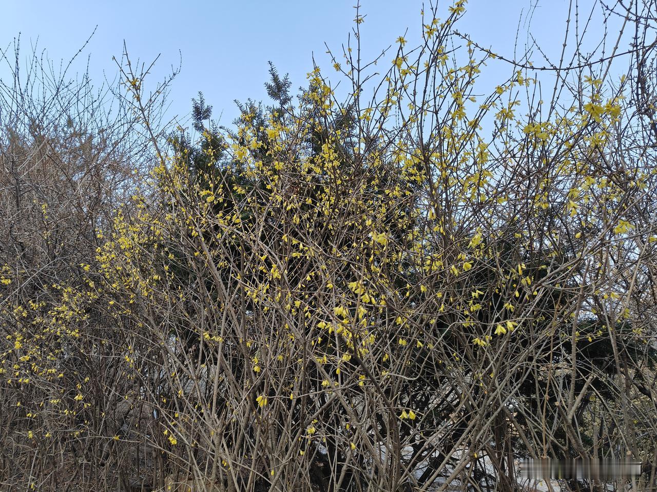 今天好累呀！上班一整天，快要下班时感到眼睛干涩，还有点耳鸣。于是用两个大拇指关节