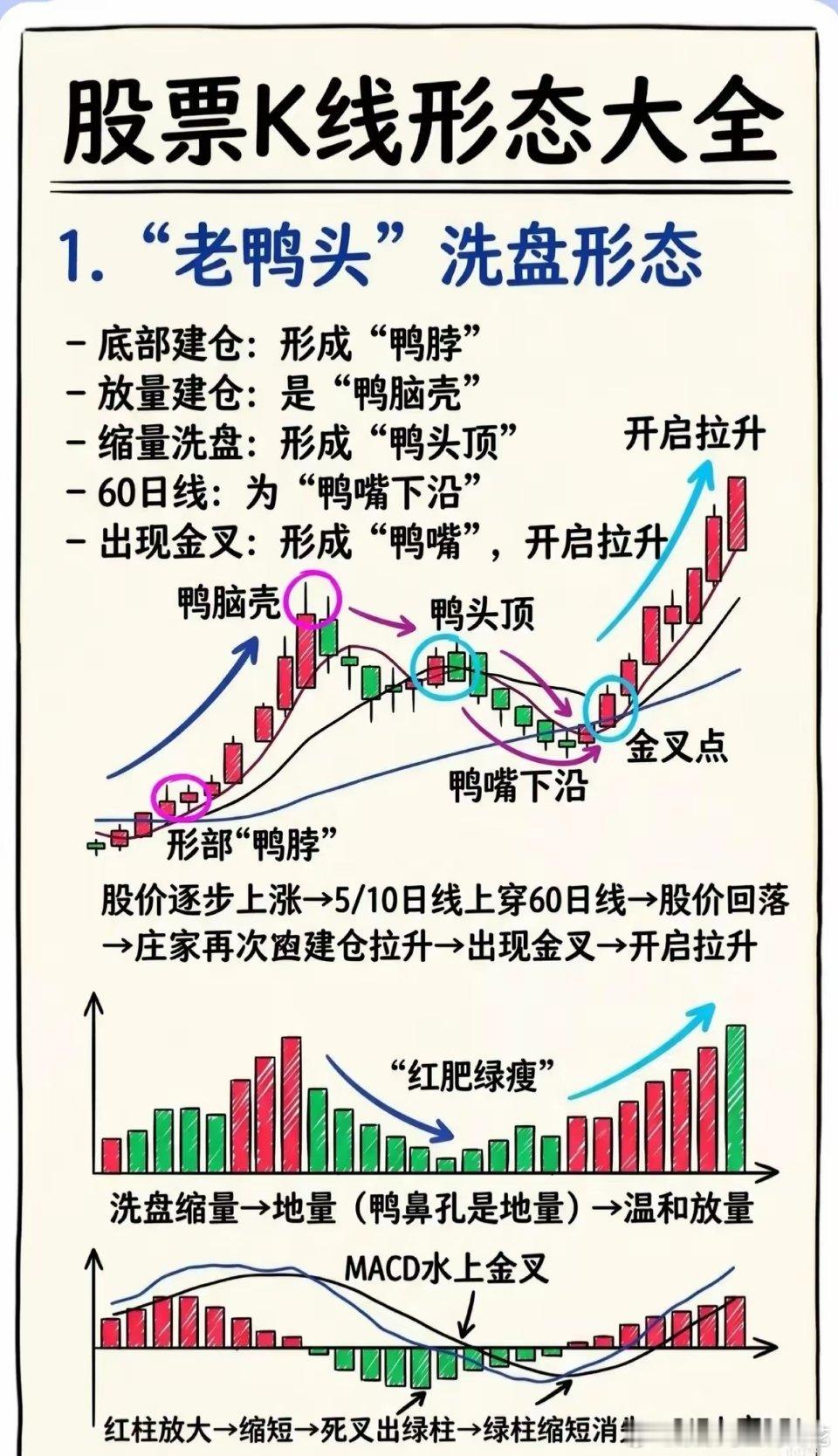 🔥15种经典K线形态全图解📈 看涨·洗盘反转形态（找买点拿住）1. 老鸭头经