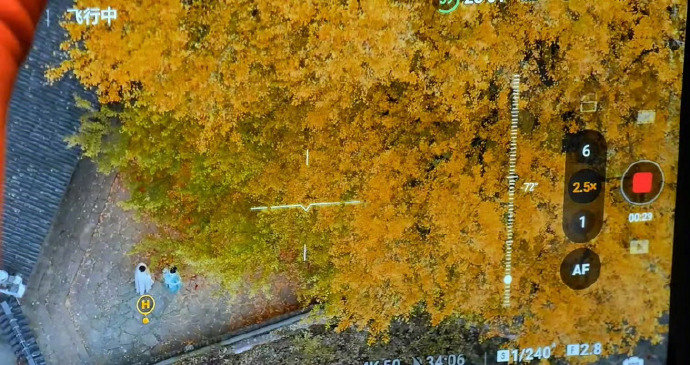 于正说金吾不禁很大部分是公路片于正原来是浙江人于正的作品从来不会让人失望，《金吾