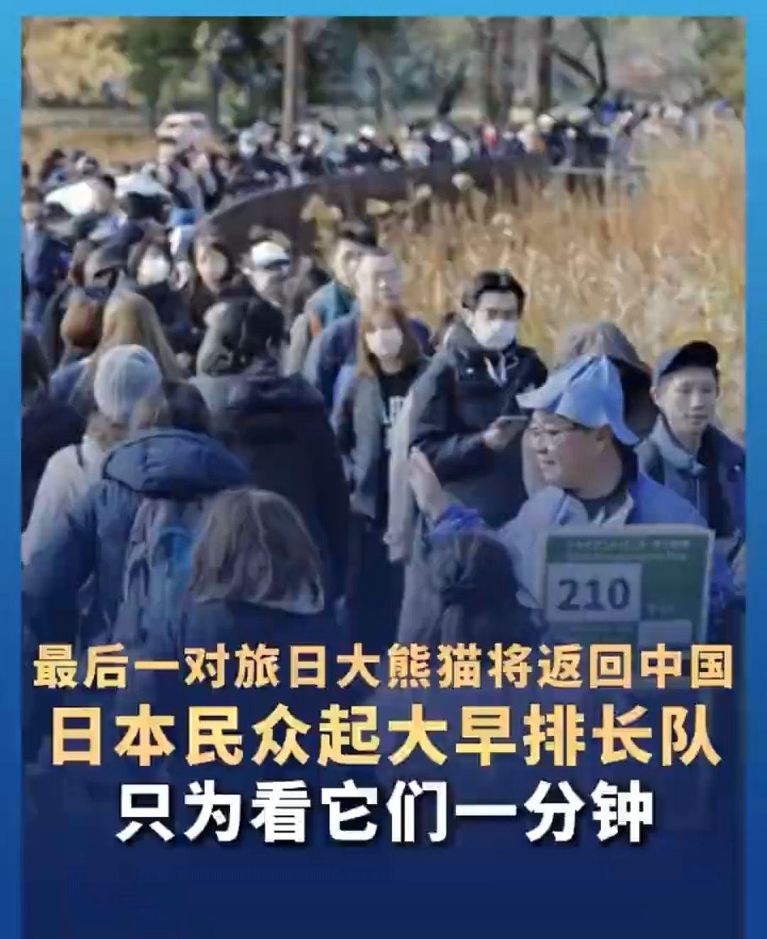 恬不知耻，日本要求台岛赠送大熊猫，“独派”回应“想要就拿走”

所以说，日本人的