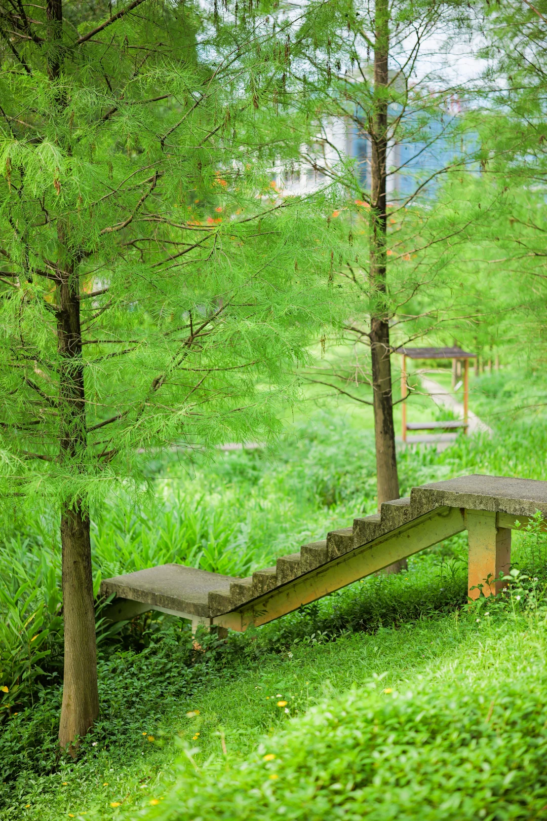 广州值得去10000 次的 野生森系秘境