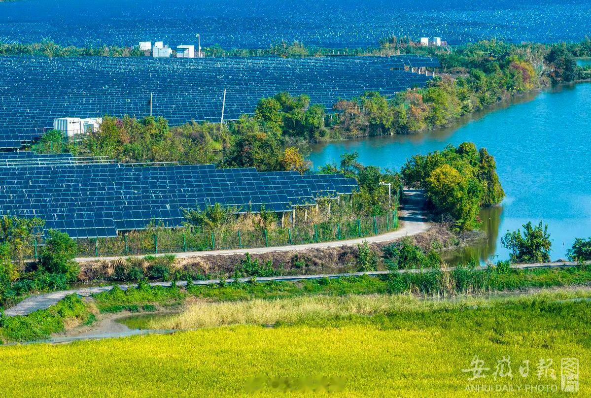 【加快建设“七个强省”系列特稿⑤ | 生态：“植”此青绿在江淮】秋天，是大自然打