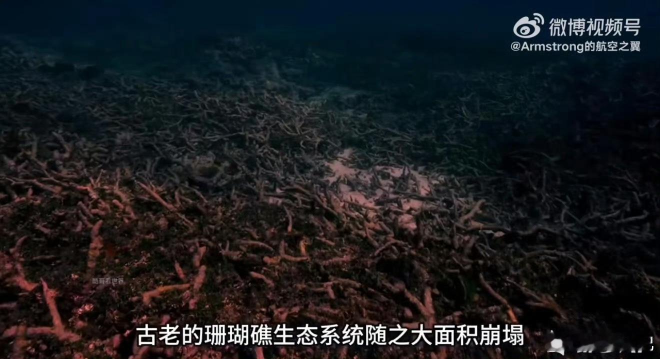 助力创作者轻松做科普视频，打造的人类进化史科普短片超惊艳，画面生动通俗，把漫长演